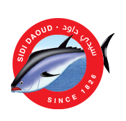 logo sidi daoud